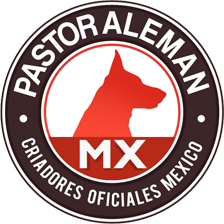 Pastor Aleman MX